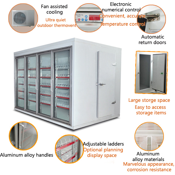 Detailed Description of Large Beverage Refrigerated Merchandiser