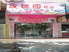[Nanjing] Rose Garden Florist Flowers Custom Shop air curtain cabinet