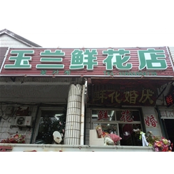 Anqing magnolia flower shop to purchase flowers air curtain cabinet