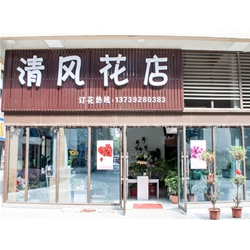 芜湖【清风花店】购置鲜花风幕柜