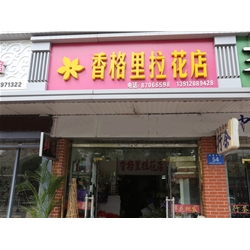 淮安【香格里拉】花店购置鲜花风幕柜