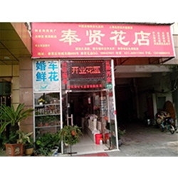 深圳市龙华新区【奉贤花店】定制款鲜花风幕柜